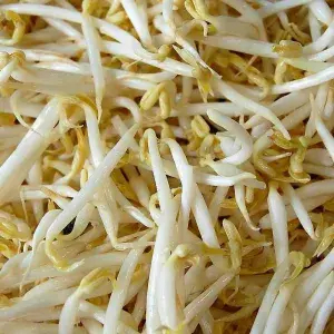 

Toge 250 Gram