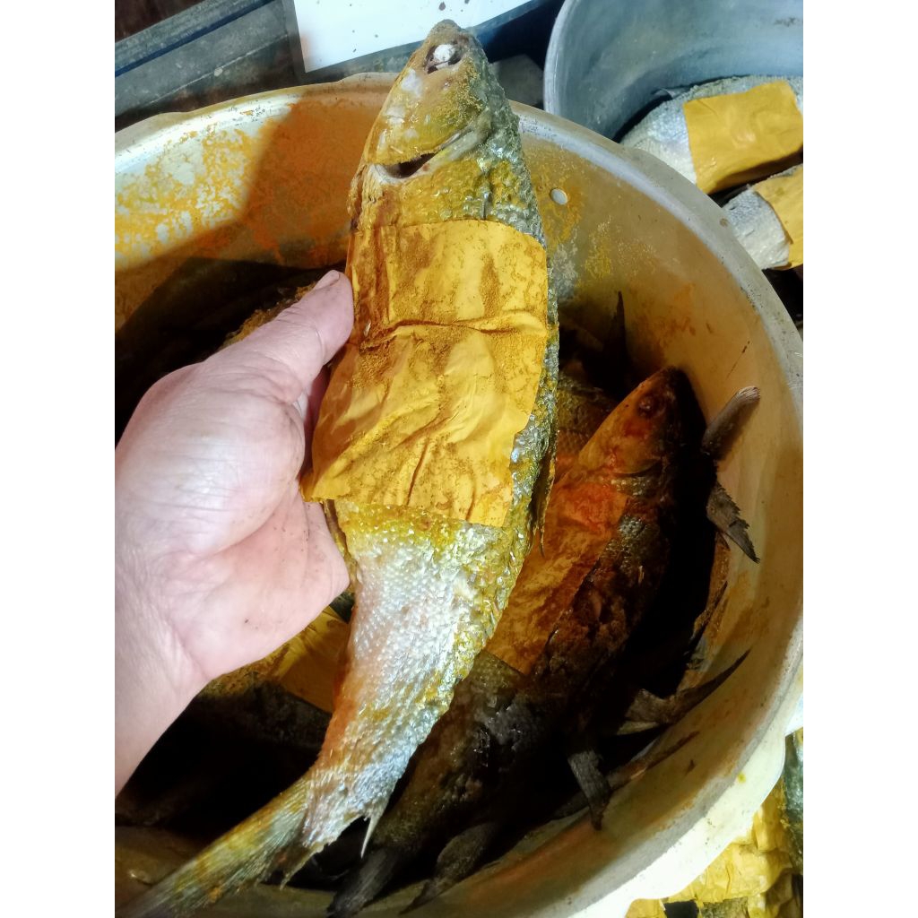 

bandeng presto duri lunak
