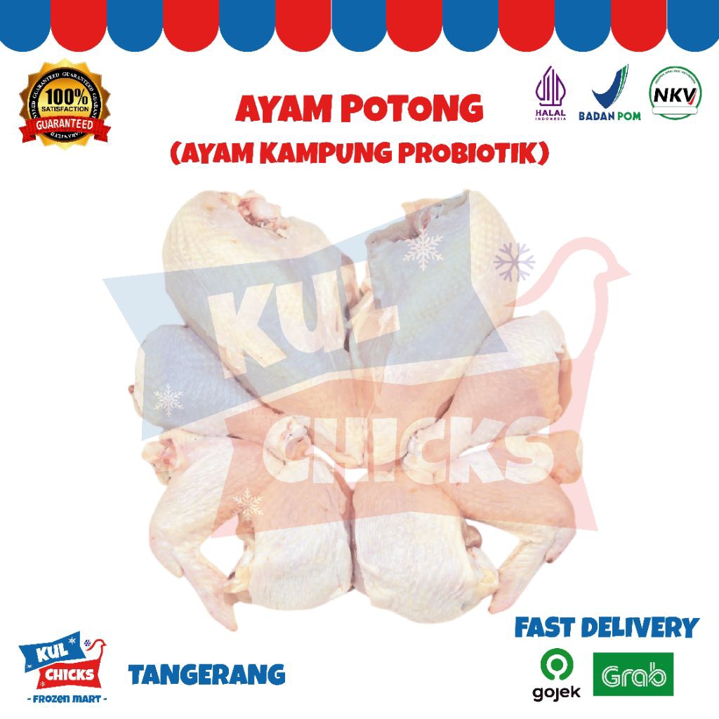 

ayam potong probiotik kampung