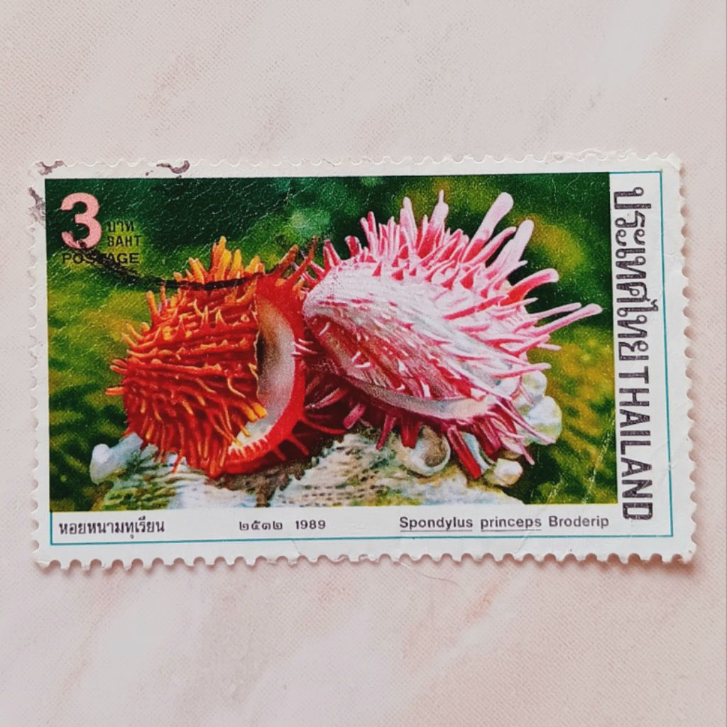 

(AD) Perangko Thailand 1989 Molluscs - Thorny Oyster (Spondylus princeps) 3 baht Used