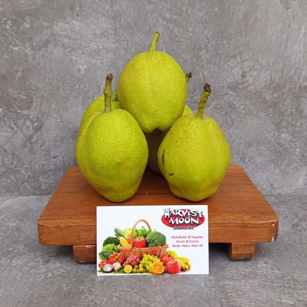 

HarvestMoon Pear Xiang Lie per Dus