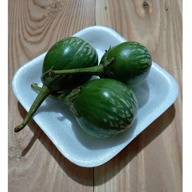 

terong bulat/terong lalap