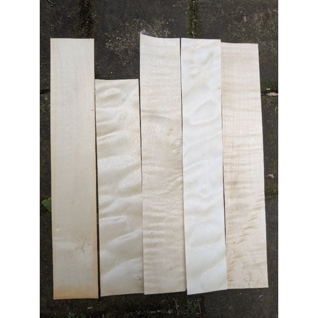 veneer kayu hard maple canada 0,45 x 4 x 10-24 cm