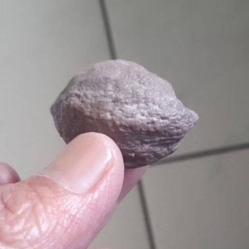 Kemiri Adu Muncang Adu Yanti Arum Ori Urgen Full Tua