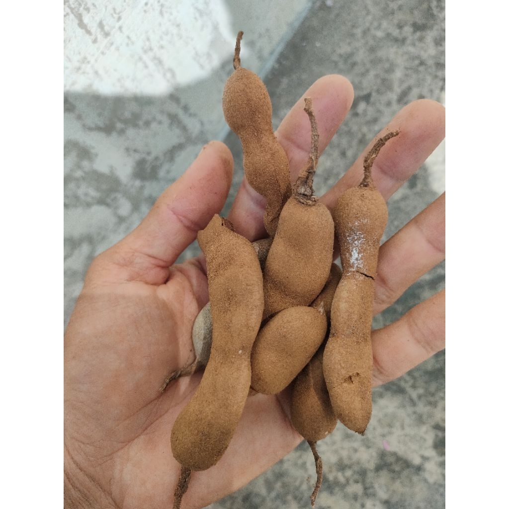

ASAM JAWA ASLI 1kg