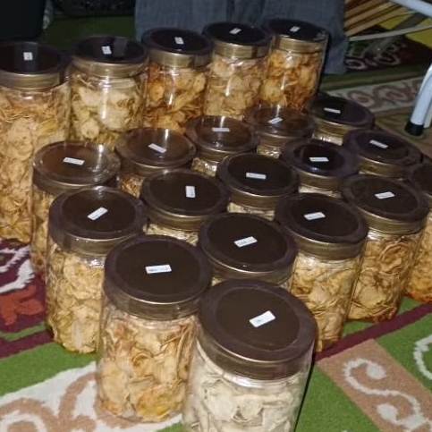 

LINK BASRENG