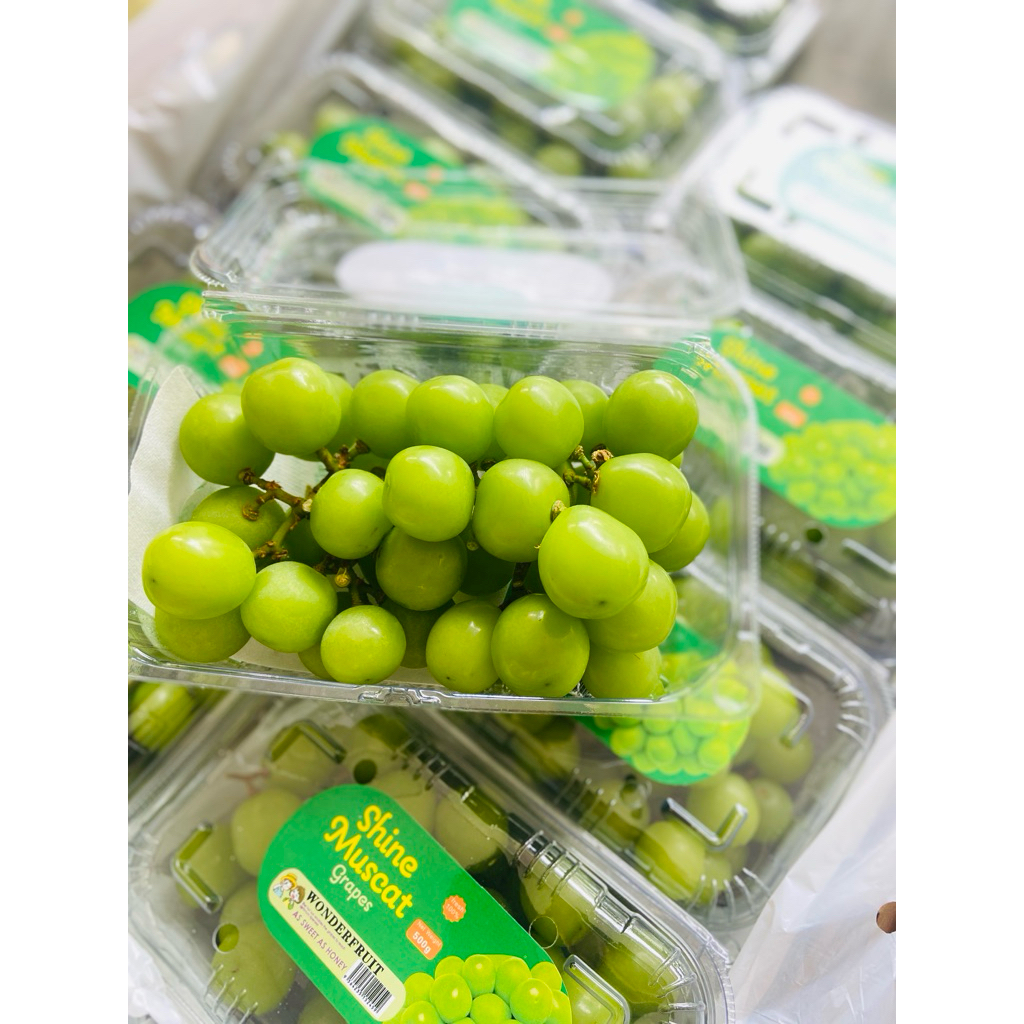 

SHINE MUSCAT PACK 500GRAM