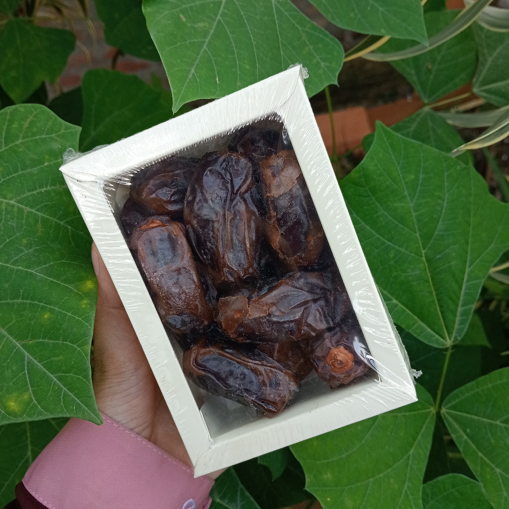 

Kurma Medjool Palestina Premium Quality Jumbo Asli Ranuna Kufiya DIY