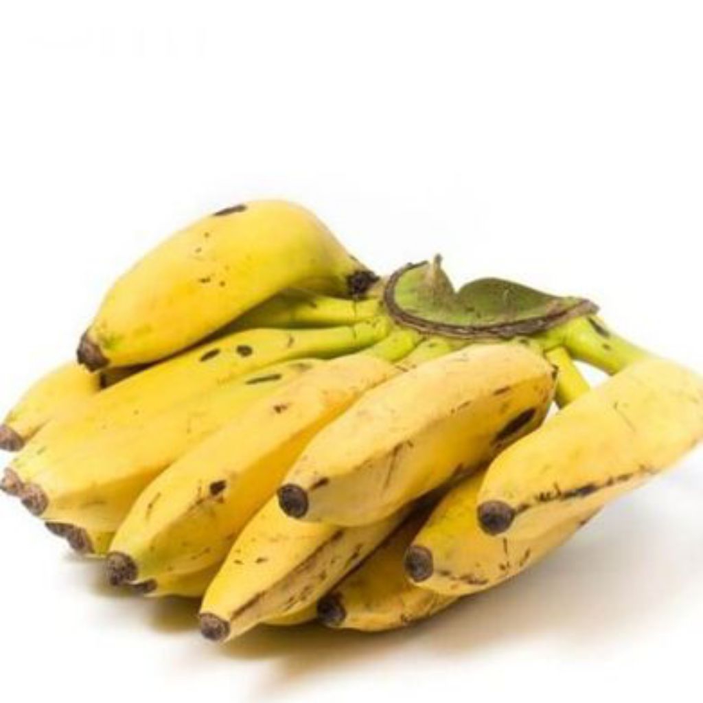 

Pisang Uli satu sisir Tua ( 1 KG )