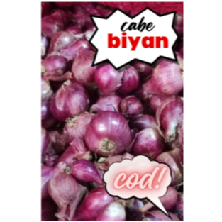 

bawang merah asli blitar (500gr dan 1000gr) dengan ukuran super