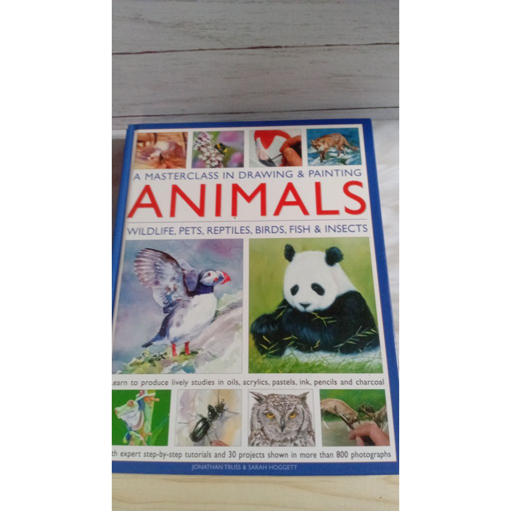 

master drawing animal