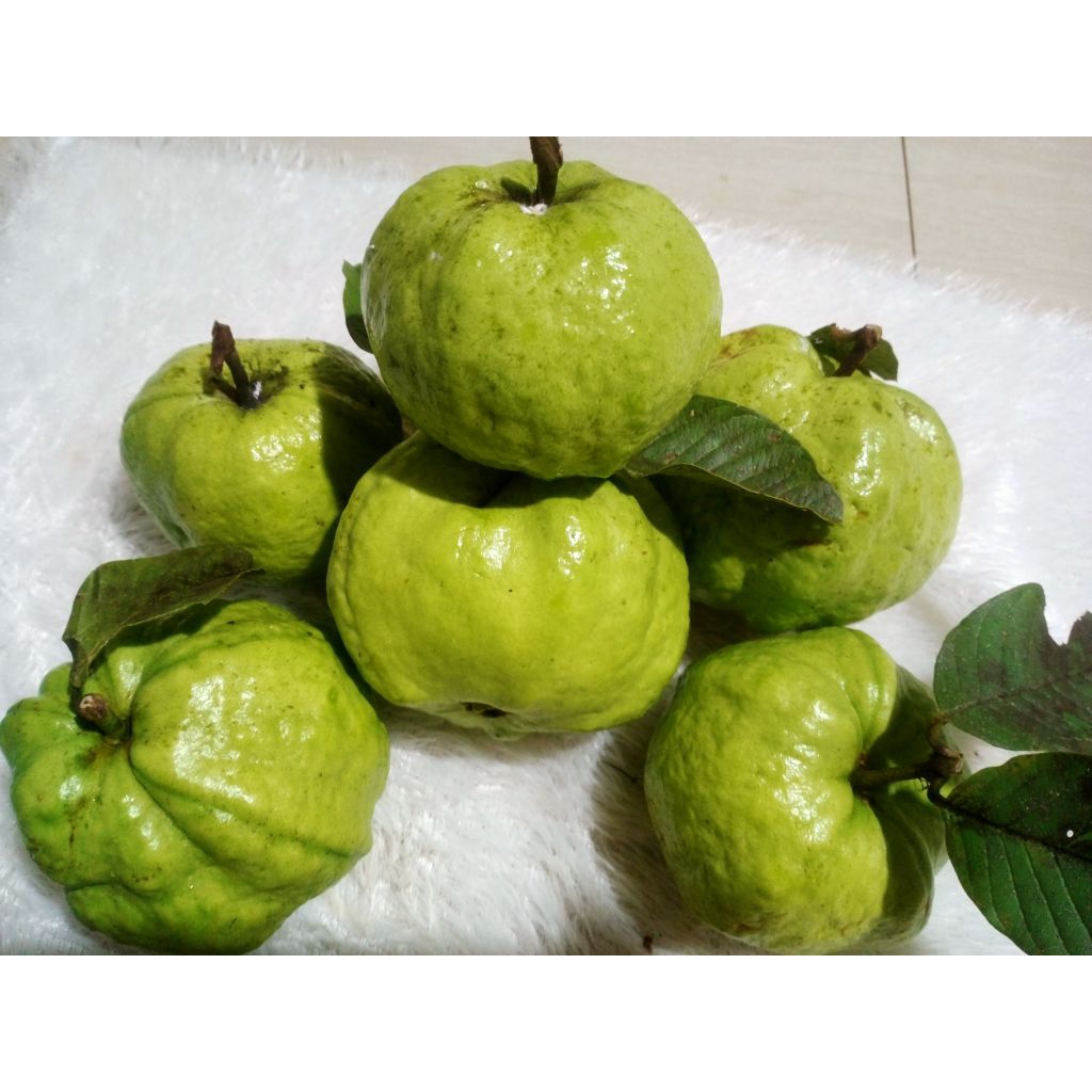 

Jambu Kristal Fresh Grade A || 1KG