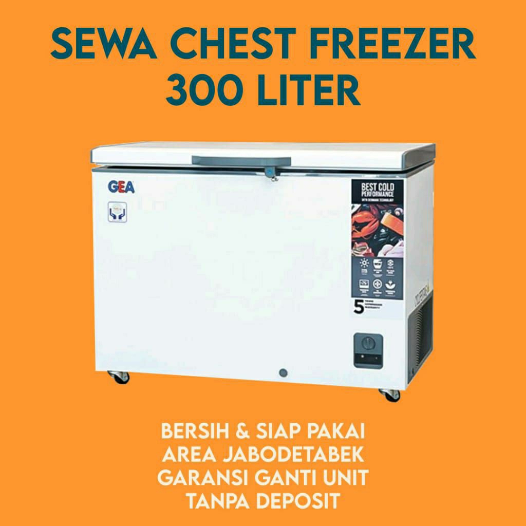 Sewa Freezer Kapasitas 300 LITER untuk 3 Bulan PLUS FREE 1 Bulan