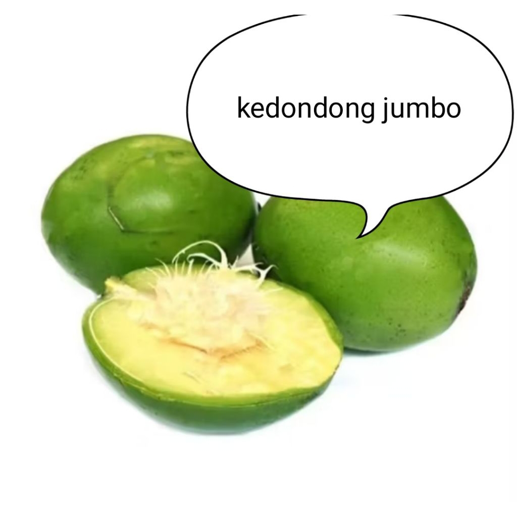

Kedondong jumbo ngidam|Bumil 500gram