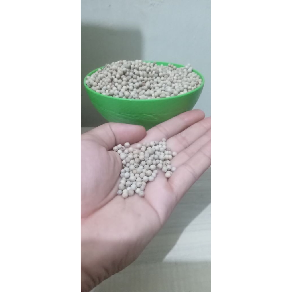 

Lada putih kemasan ekonomis 100gr