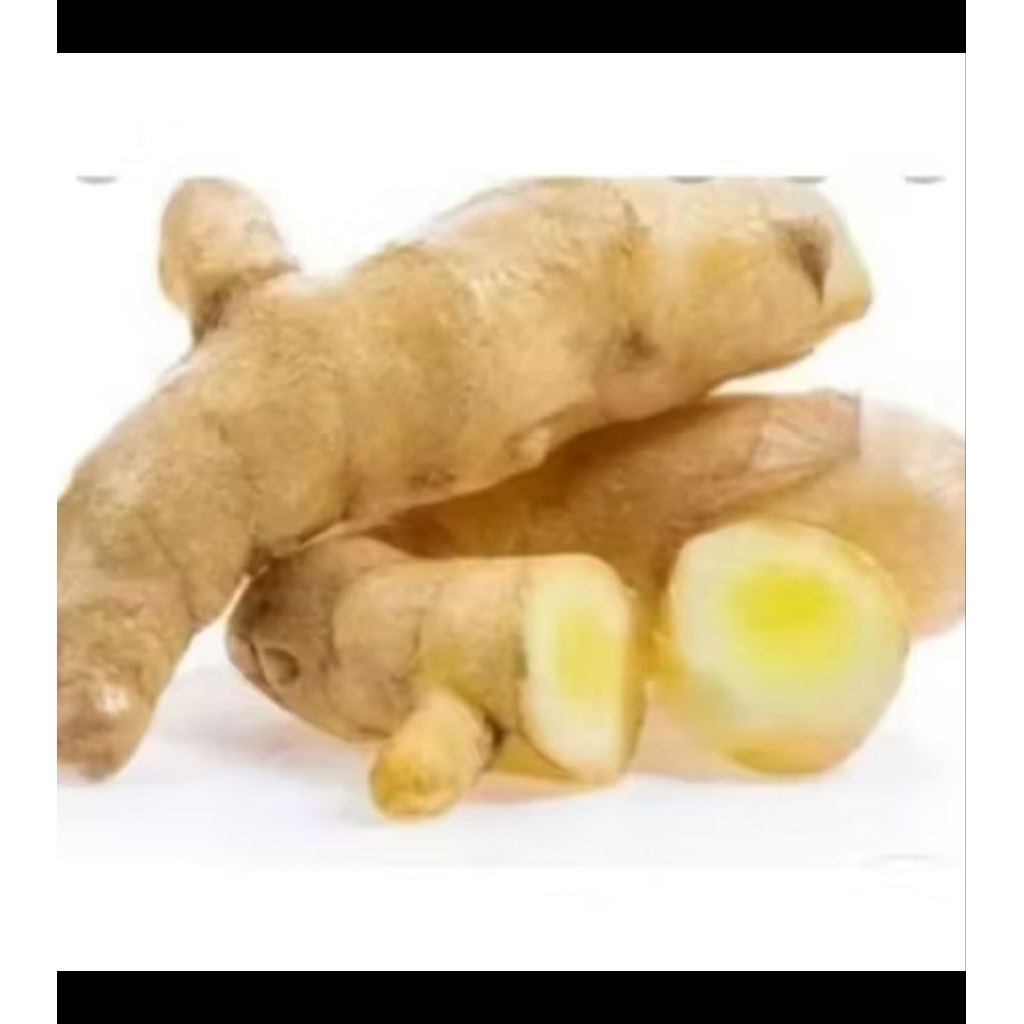 

Temu mangga 1kg obat herbal alami