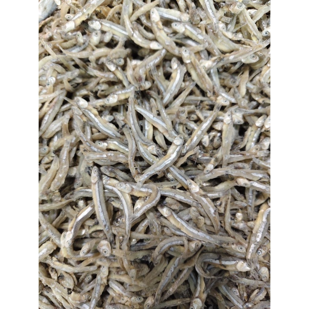 

teri jengki kering premium