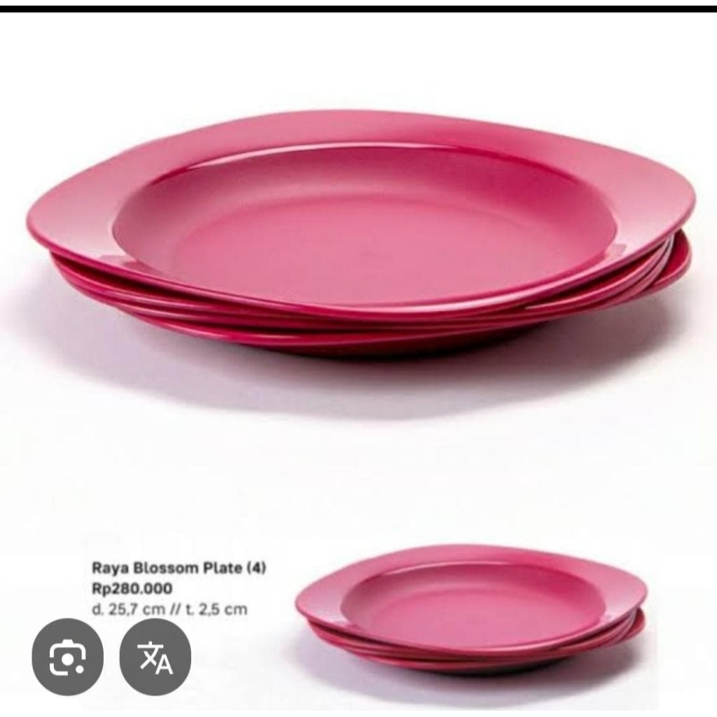 Plate blossom tupperware