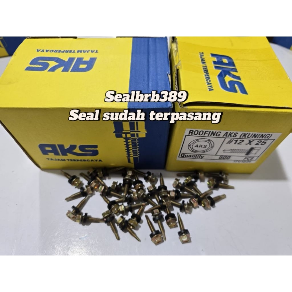 50pcs baut roofing merk aks 12×25(2,5cm)