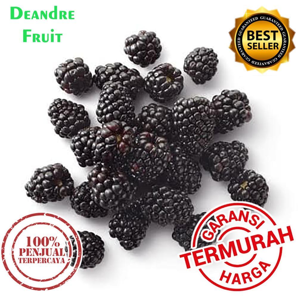 

GROSIR MURAH 1kg Blackberry Frozen Buah Beku Mulberry Murbei