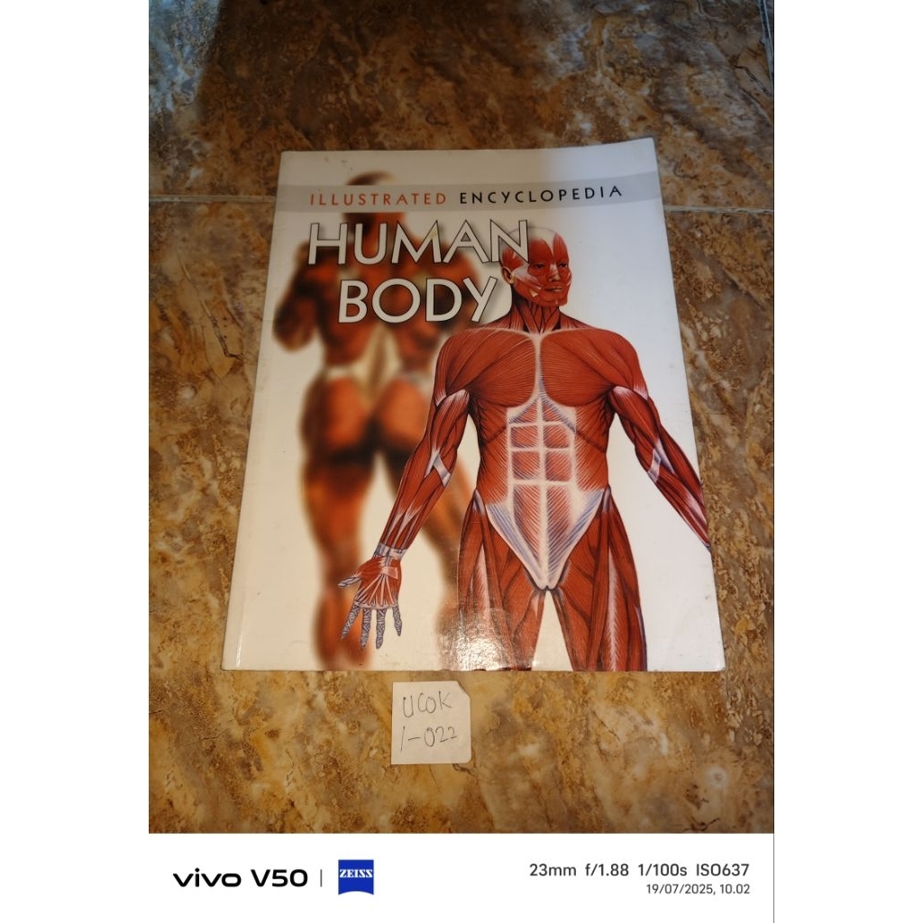 Buku Illustrated Encyclopedia Human Body