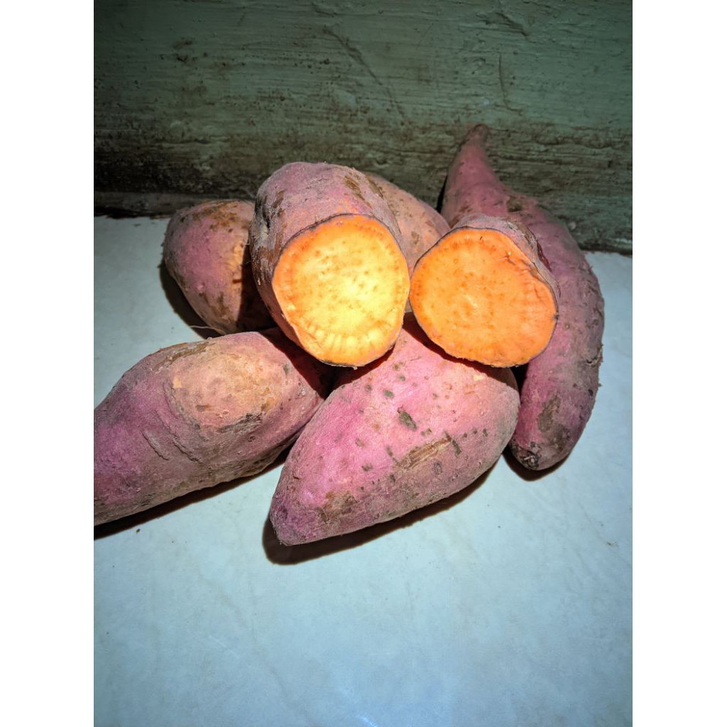 

ubi oren enak manis empuk ubi oren seger 1kg