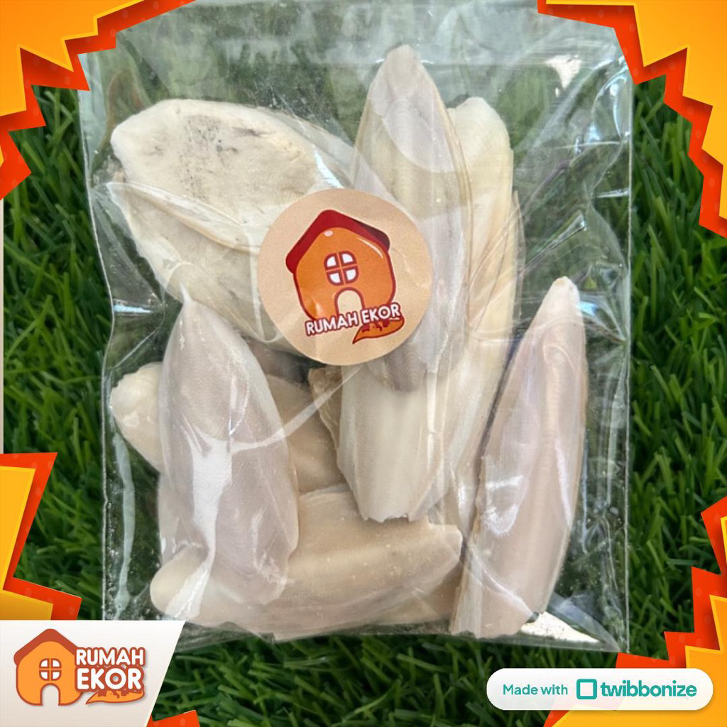 TULANG SOTONG/ PECAHAN TULANG SOTONG MINI