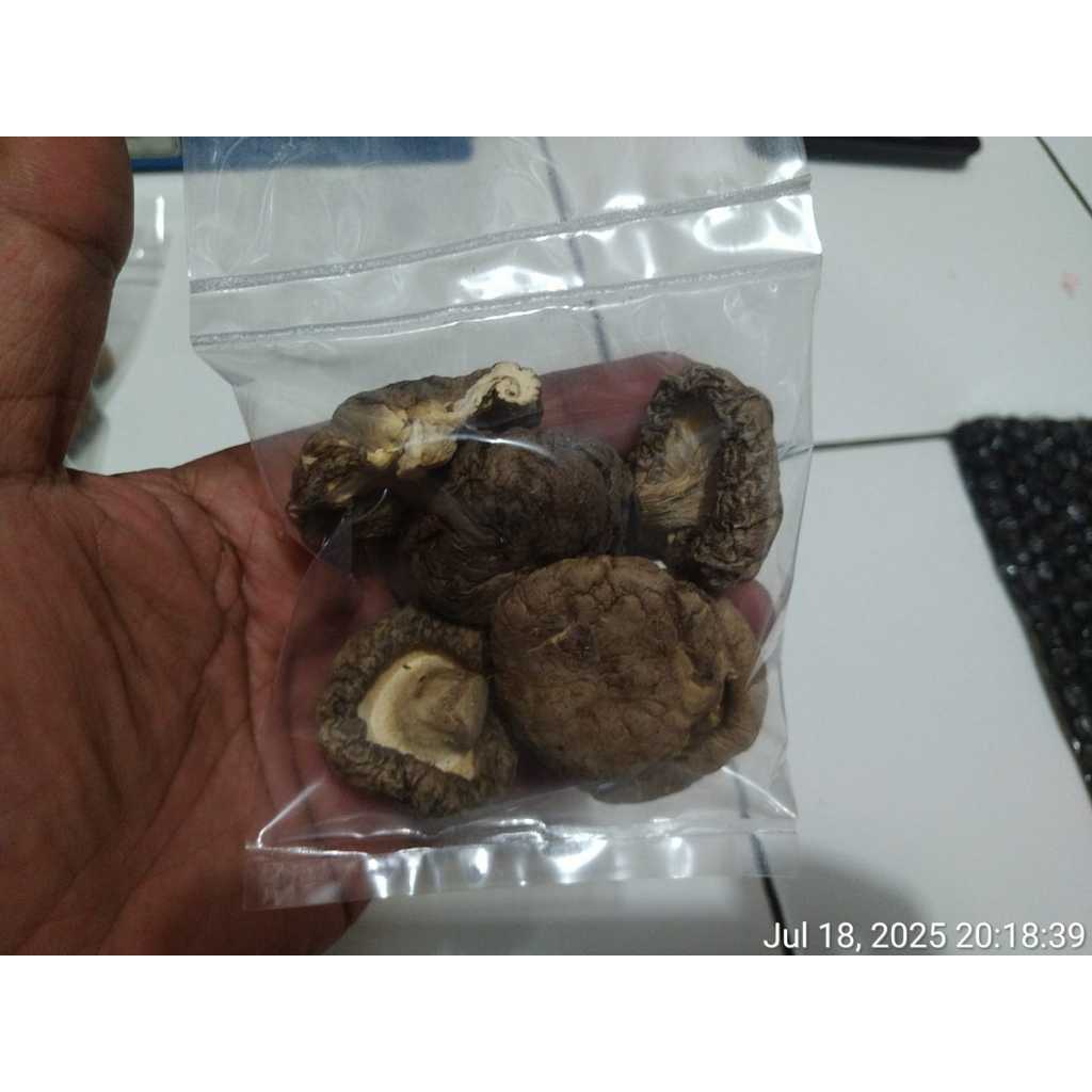 

HS Jamur shitake / shiitake mushroom / Hioko Grade A Rp10.000