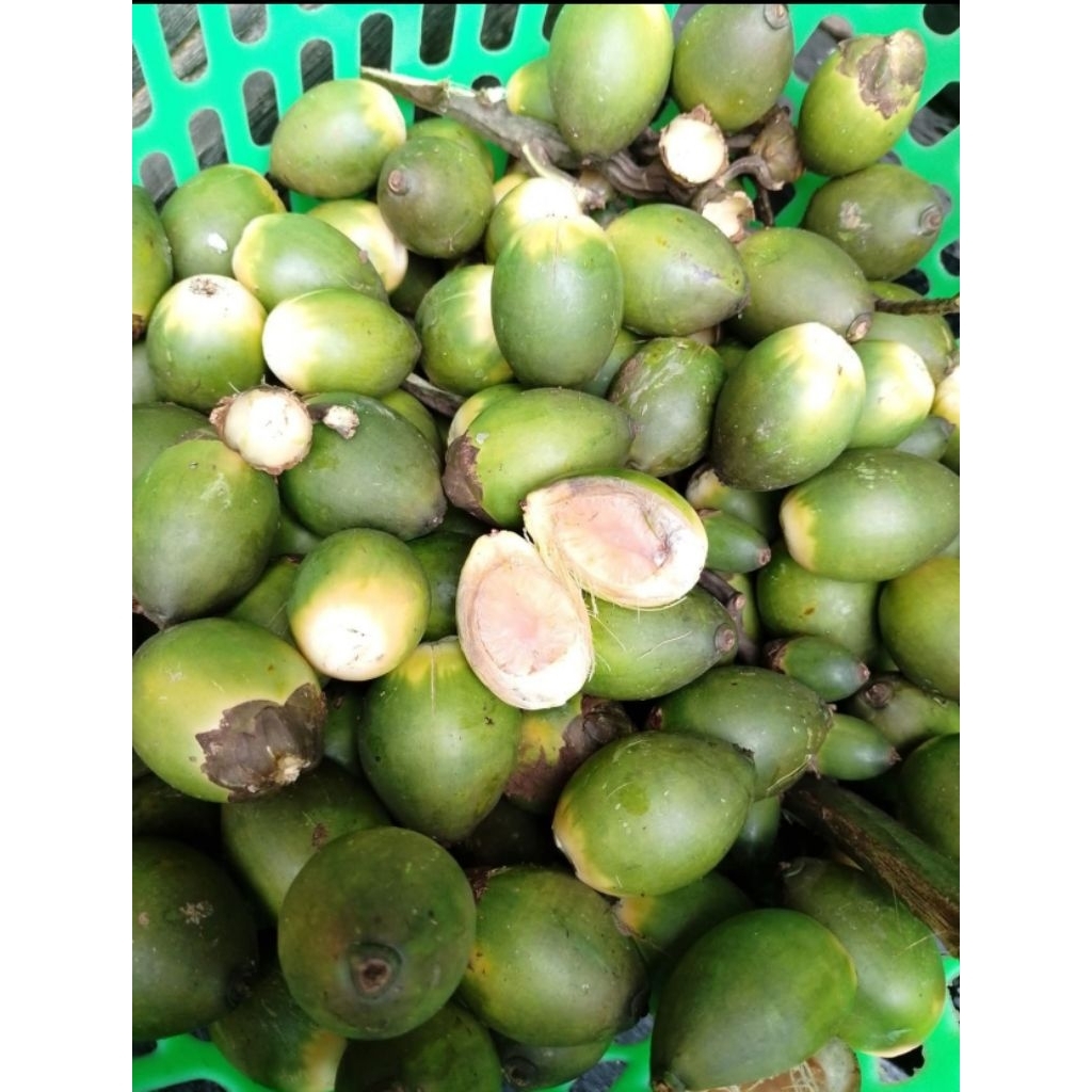 

1kg PINANG MUDA ASLI PREMIUM COCOK UNTUK NYIRIH