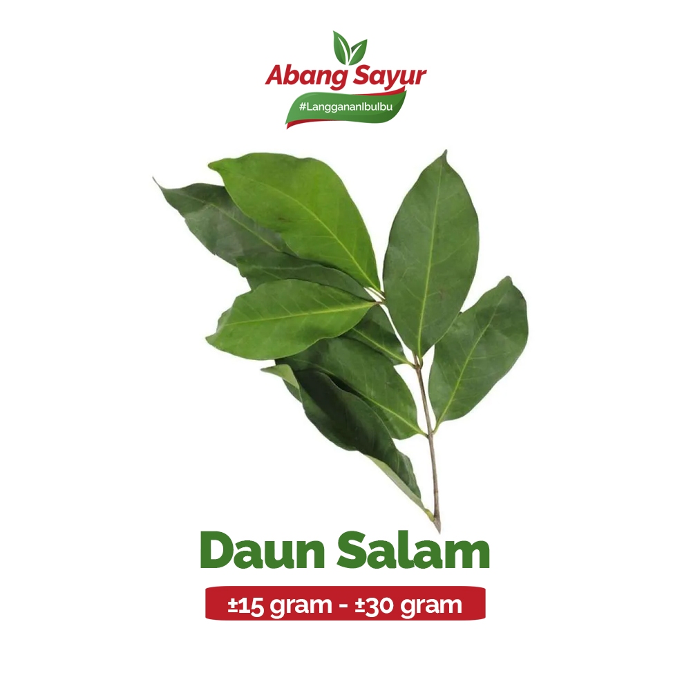 

Daun Salam Segar ±30gr – Sayur Segar Bandung (Fresh Harian) - Wajib untuk Masakan Nusantara