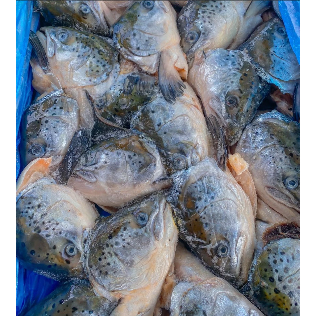 

Kepala ikan salmon belah