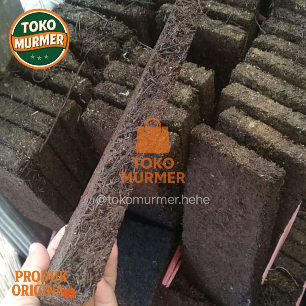 Media tanam anggrek kadaka papan pakis atau pakis lempeng ukuran 8 cm x 20 cm kualitas super_Toko mu