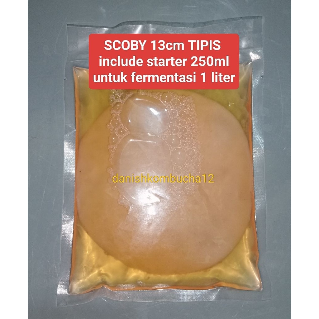 

bibit scoby kombucha 13cm TIPIS & SEDANG/scoby/mambucha/kombucha/bibit fermentasi danishkombucha12