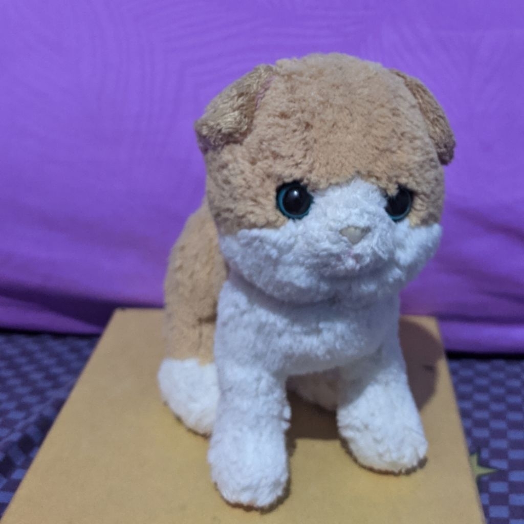 Boneka Anak Kucing Kitten Cream Putih Ori Sunlemon