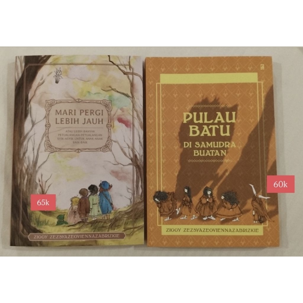 Preloved Novel Ziggy Zesya