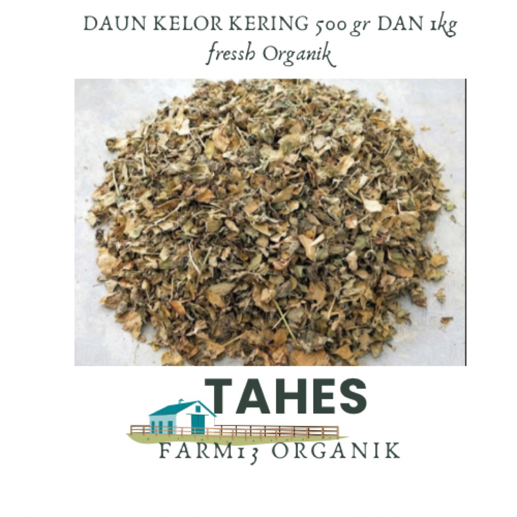 

Daun Kelor Kering Kemasan 500 gr Dan Satu Kilo Diorder Langsung Proses pengeringan