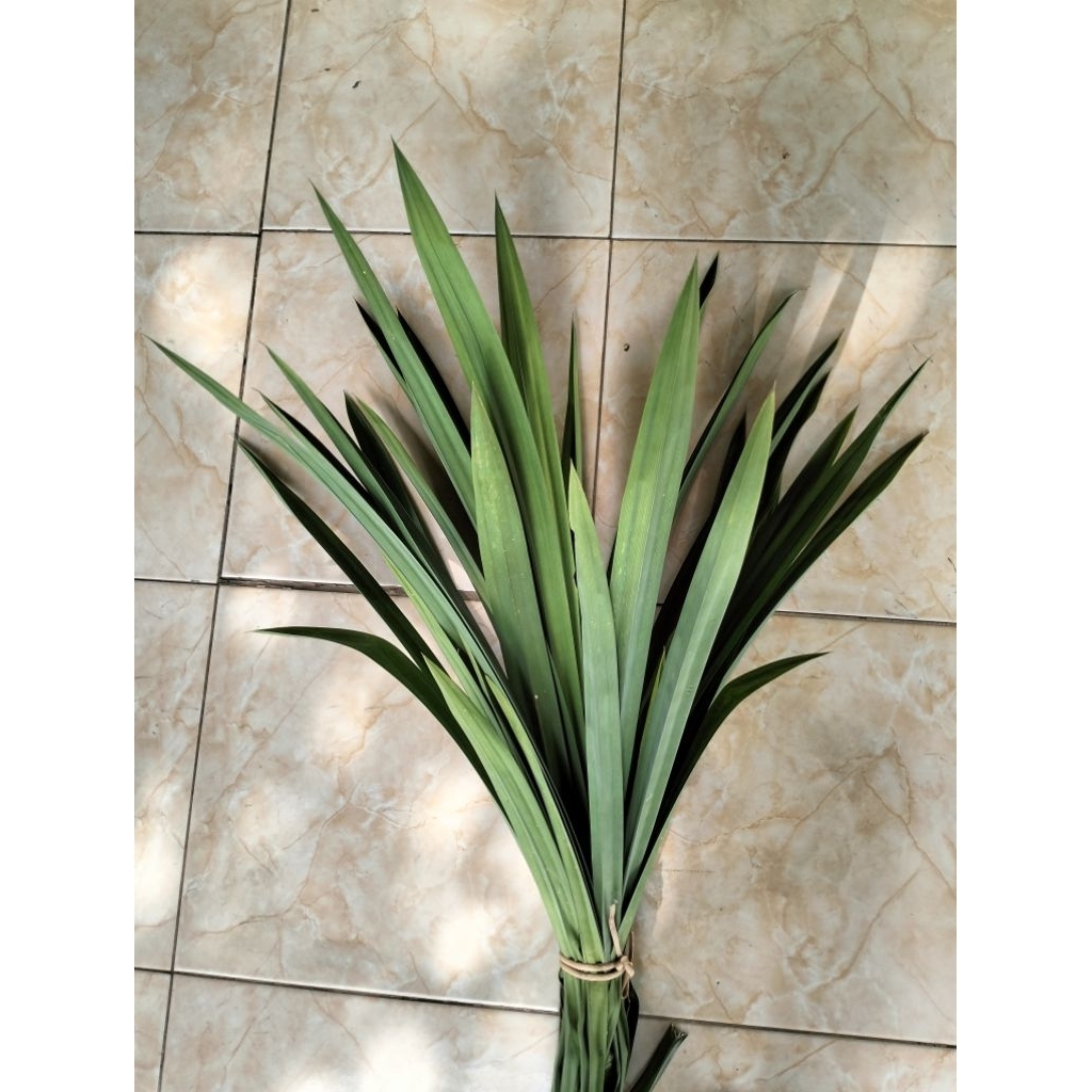 

daun pandan wangi per 300 gram