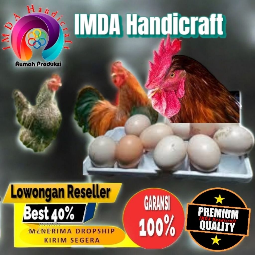 

IMDA HANDICRAFT Paket 4 Pcs TELUR FERTIL AYAM KUB2 Jalur PETELUR FI MURNI KUB2 Perent Stock Bisa Ditetaskan Kembali Kwalitas Super Jaminan Menetas Hasil Peternak Profesional