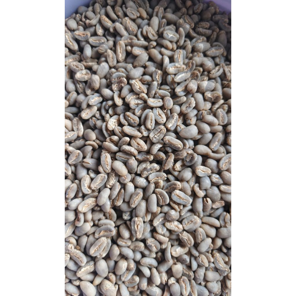 

Kopi Arabica Gayo Longberry Green Bean Premium