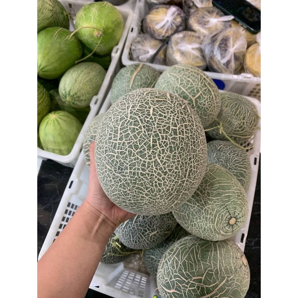 

MELON EMERALD