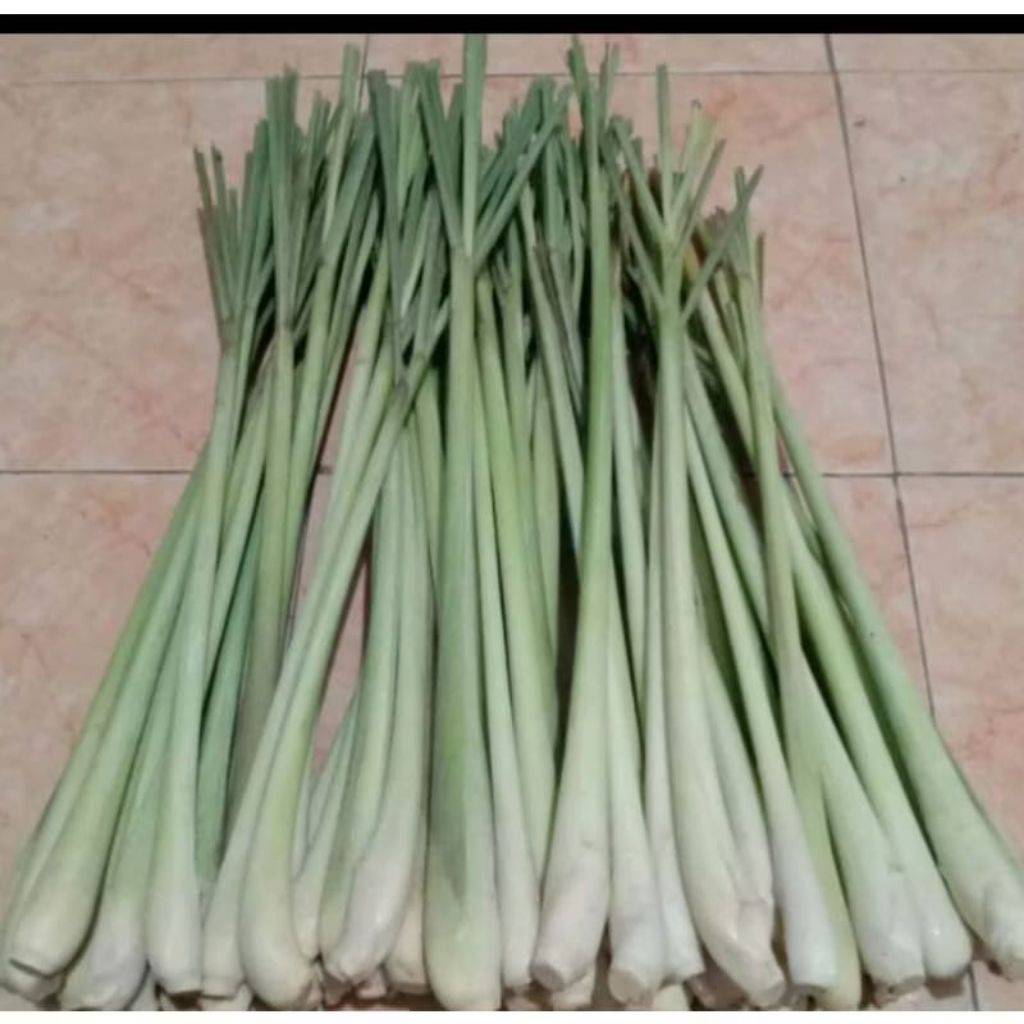 

sereh segar per 250 gram