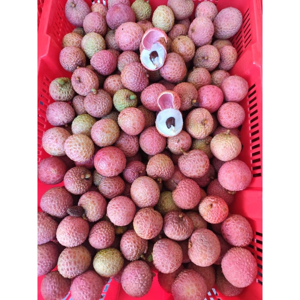 

Leci Pink Buah Segar