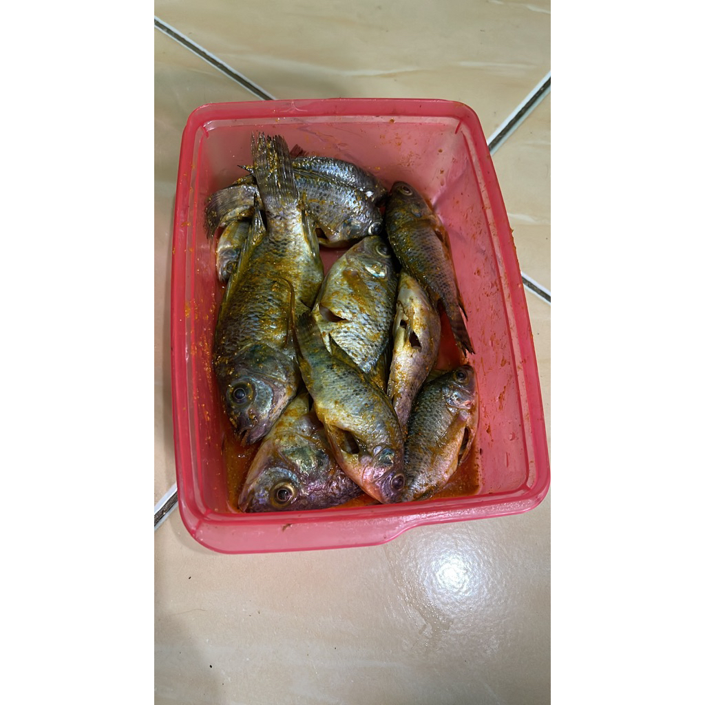 

Ikan segar