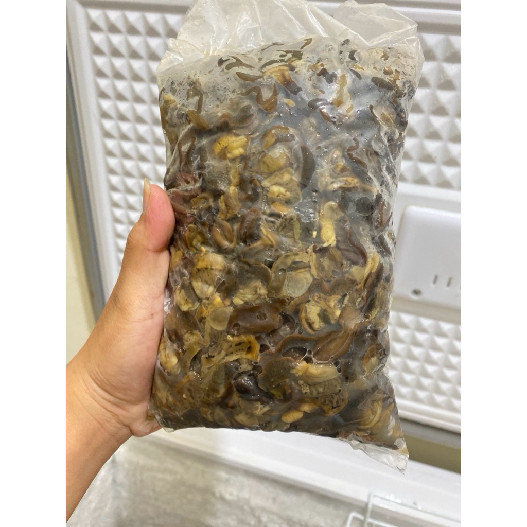 

DAGING BEKICOT / DAGING SIPUT DARAT Fresh Frozen Food