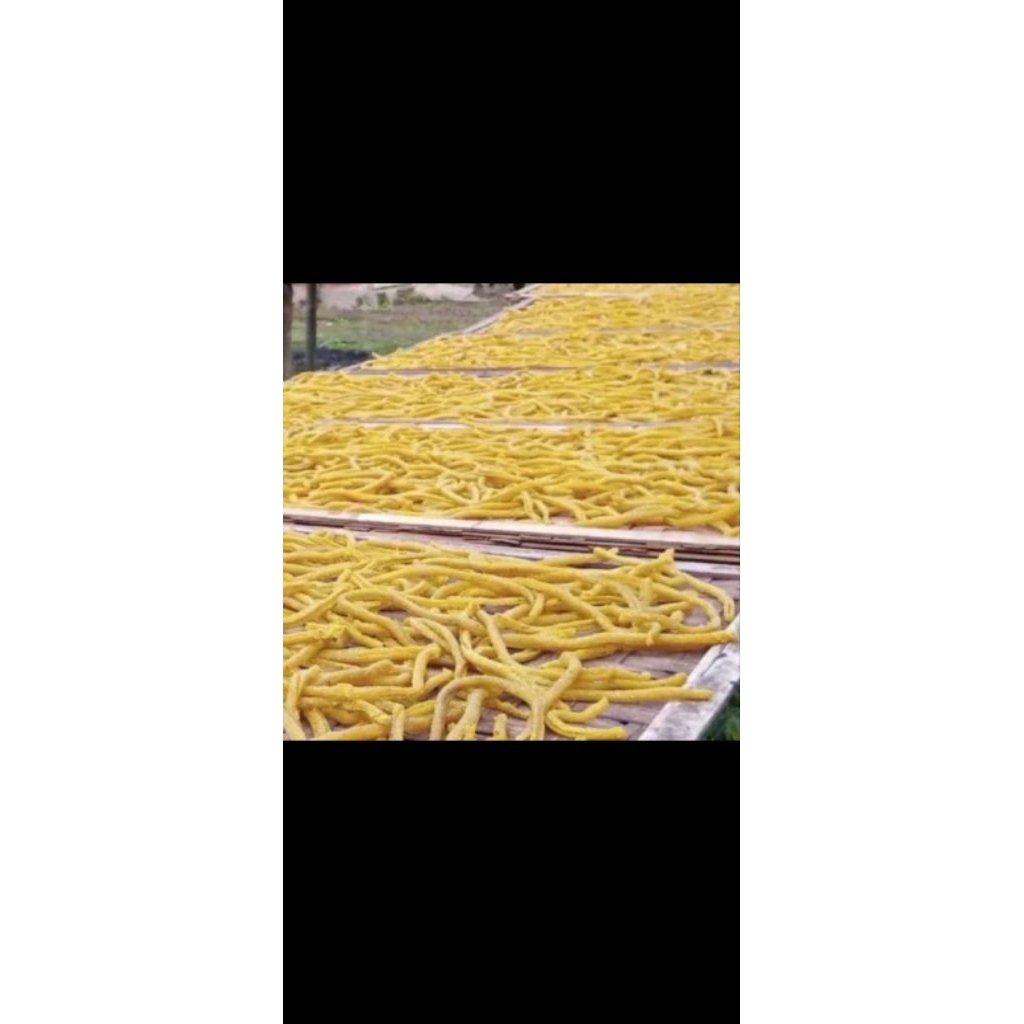 

Kerupuk Mie Singkong (Mie Jujut/Mie Jadul) Mentah Siap Goreng 1Kg