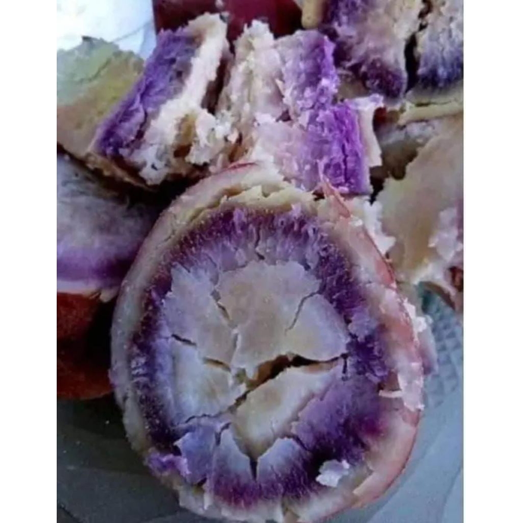 

uwi Samarinda / umbi ungu