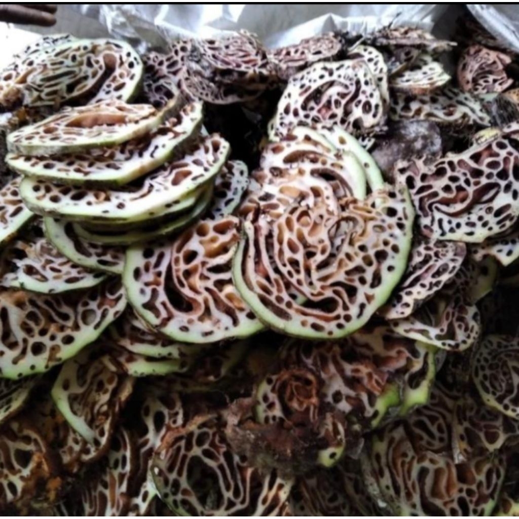 

TERMURAH SARANG SEMUT PAPUA HERBAL MERAH BERKUALITAS GRADE A