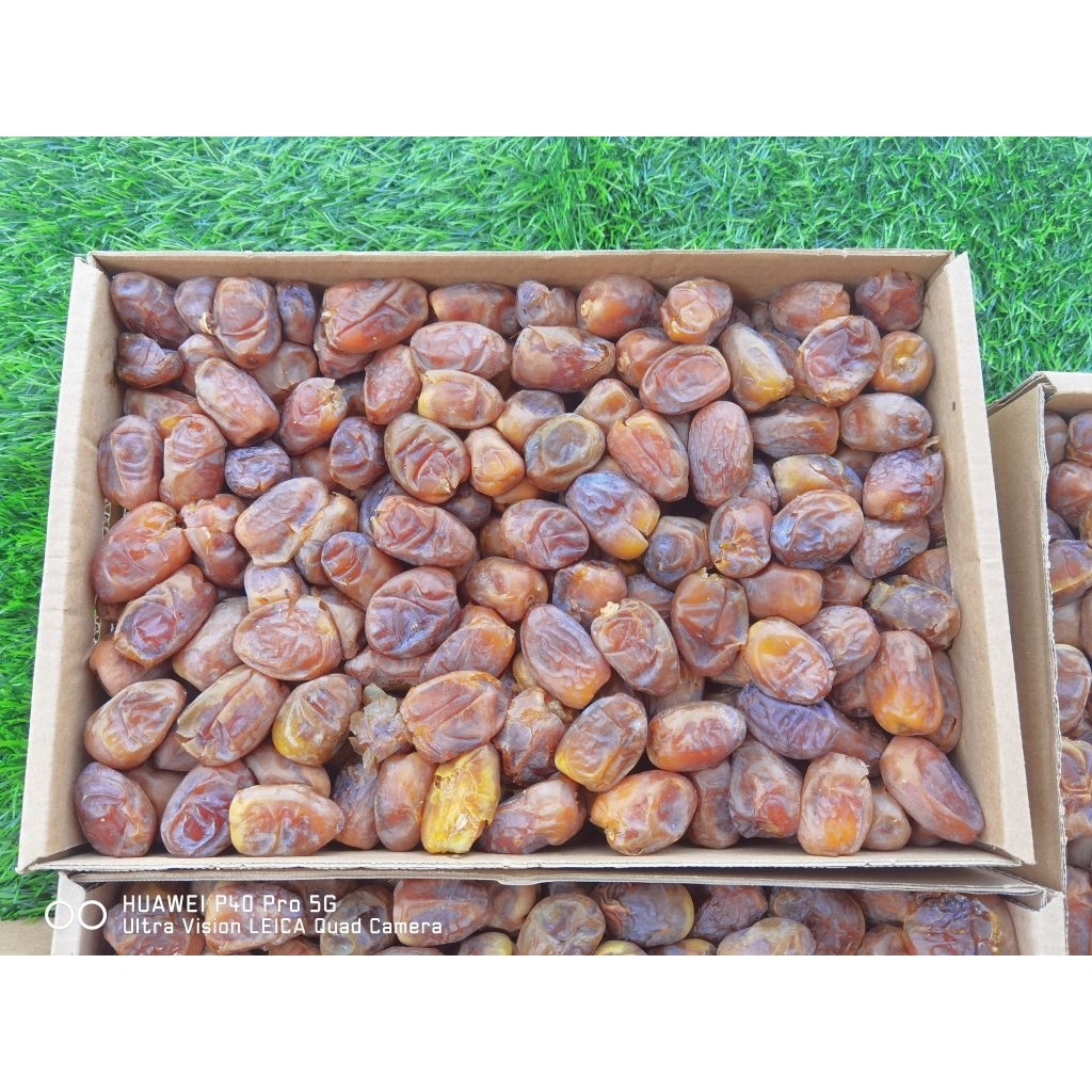 

Kurma Sukari Ras Al Qassim saudi arabia kemasan non wraping 3 kg free packing bubble