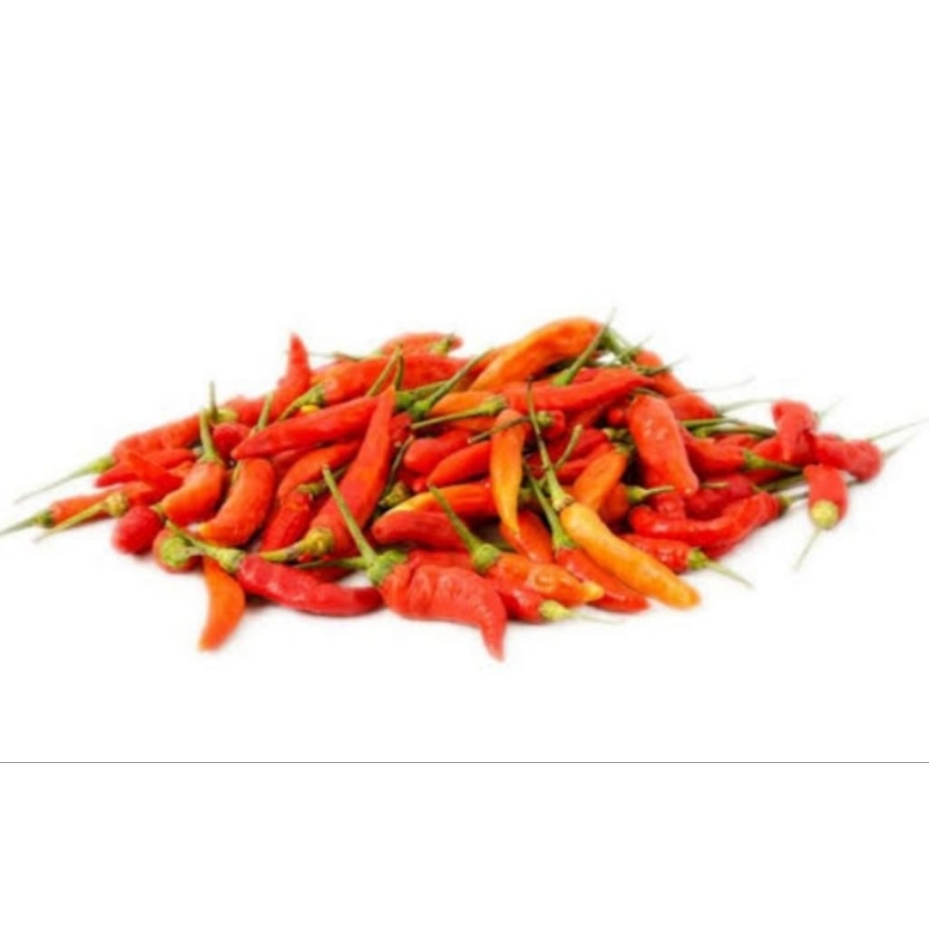 

cabai rawit setan/jablay