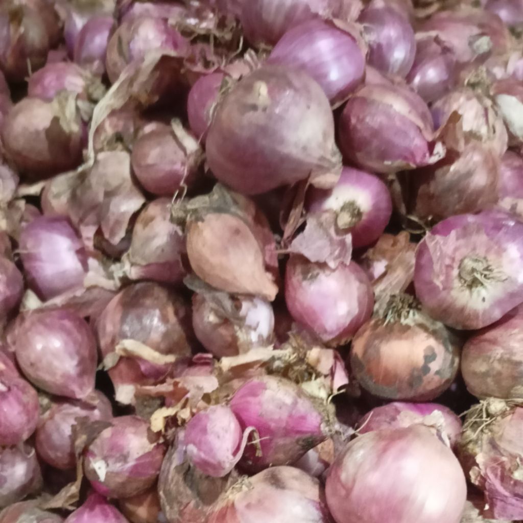 

Bawang merah| Bumbu Dapur wajib| Bumbu masakan anda